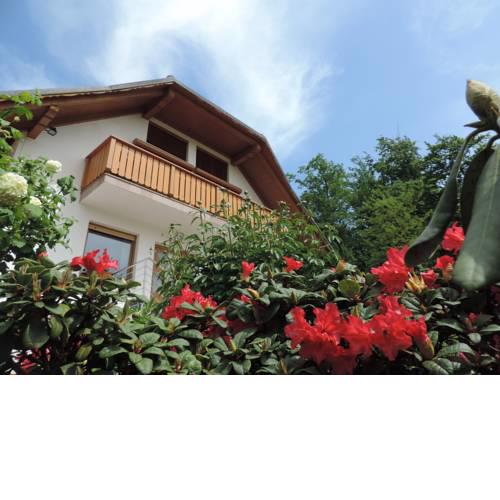 VILLA KATARINA Apartments
