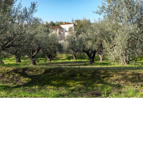 VILLA KLOTILDI