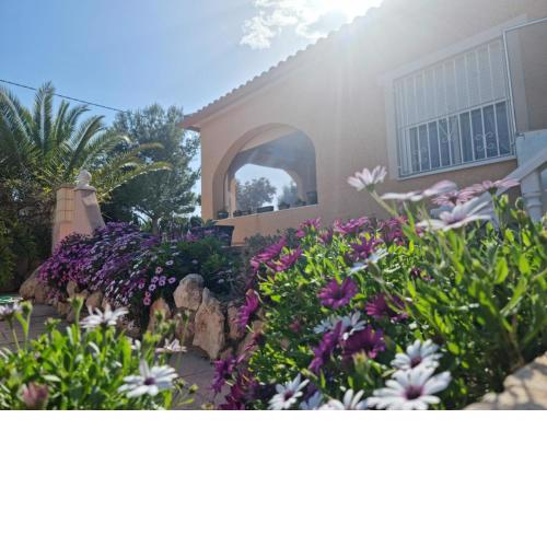 Villa la Lluna