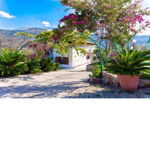 Villa Las Cycas Casa indipendente con ampi spazi esterni