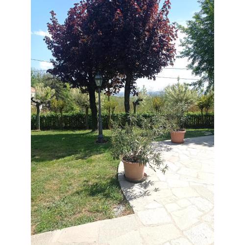 Villa Laura