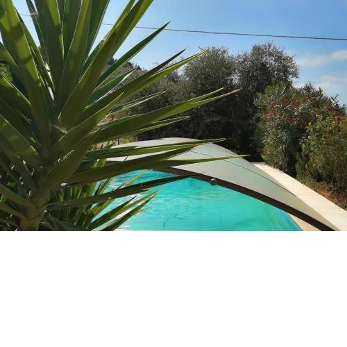 Villa Lazzarini Appartamento Rosella in Villa con piscina a 2km dal mare