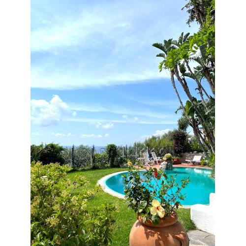 Villa Le Palme