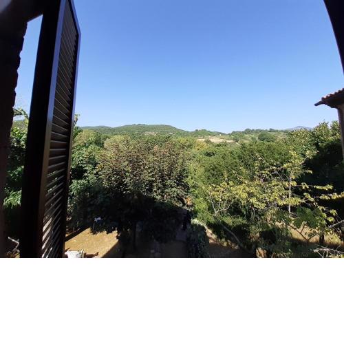 Villa Le Palmine