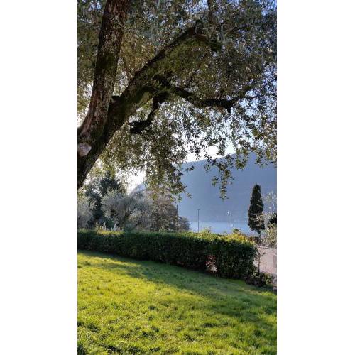 Villa Leilani B&B