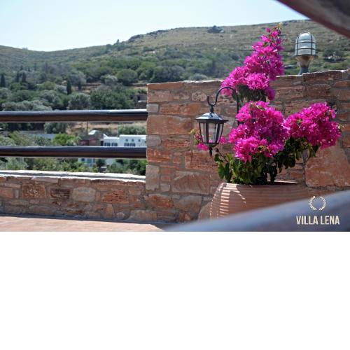 VILLA LENA - ΑΝΔΡΟΣ