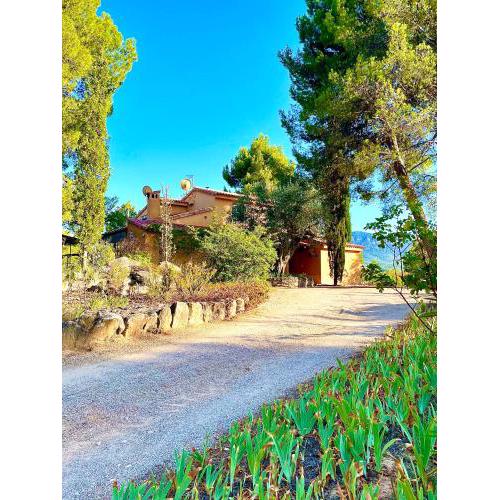 Villa Les Oliviers