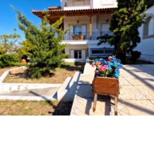 Villa Liana : Luxury Villa With Fantastic Sea View, Near Airport