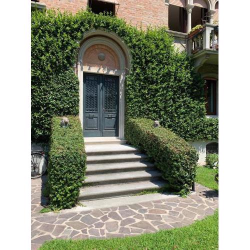 Villa Liberty
