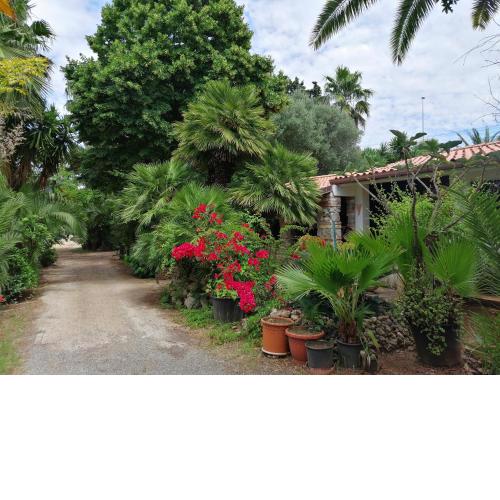 Villa Loco