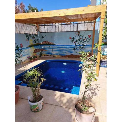 Villa Louise guest house