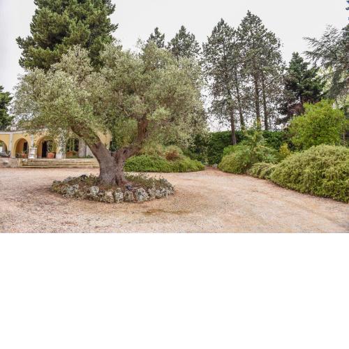 Villa Luciana