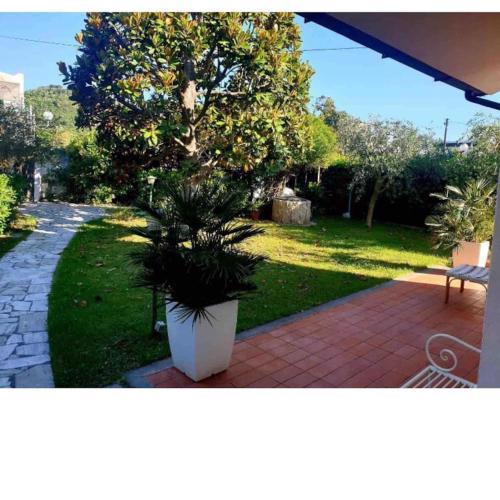 Villa Magnolia centralissima