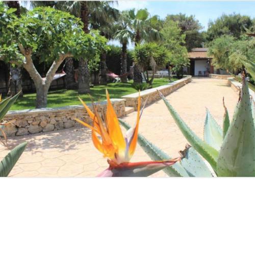 Villa Maia