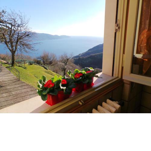 Villa Margherita - Rebomaholidays