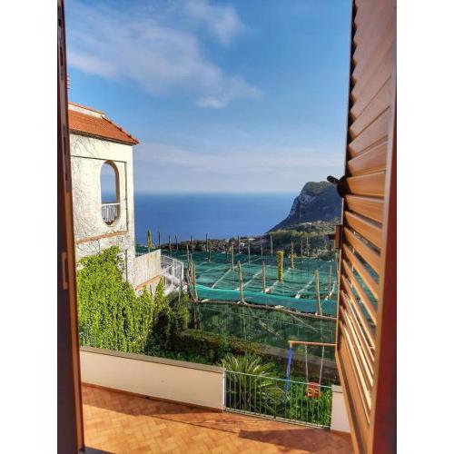 Villa Mariel Suites & Apartment