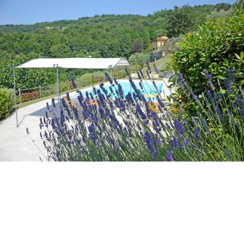 Villa Mario, piscina privata,aria cond,immersa nel verde,campagna Toscana