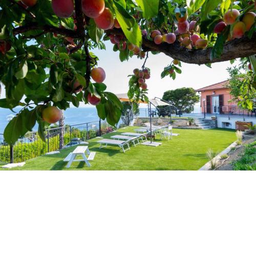 Villa Matilde