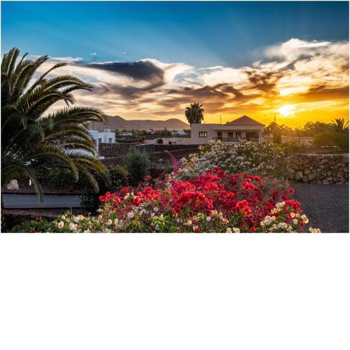 Villa-Mayo - Peaceful Paradise: Lajares Dream Vacation