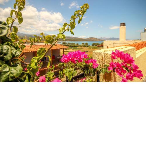 Villa Minoas Apartments
