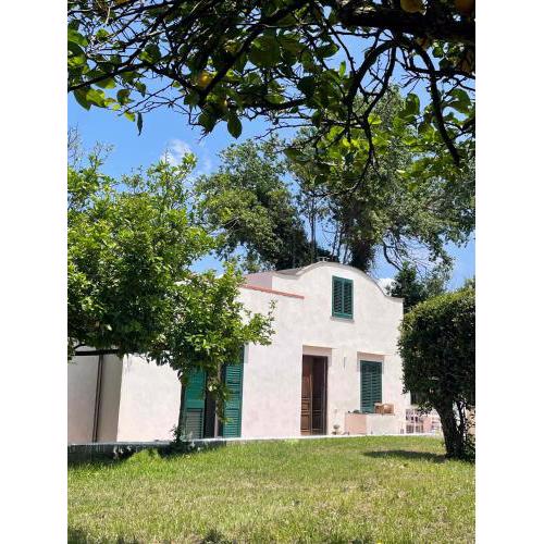 Villa Morea & Rooms in Procida