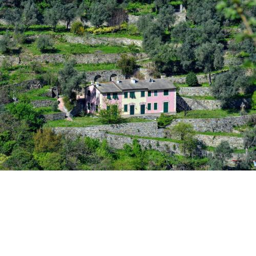 Villa Olivari - apt il Cedro