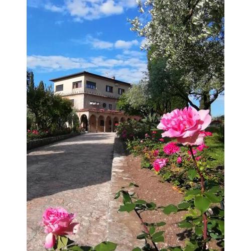Villa Paradiso