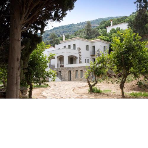 Villa Perivoli in Lemon Orchard