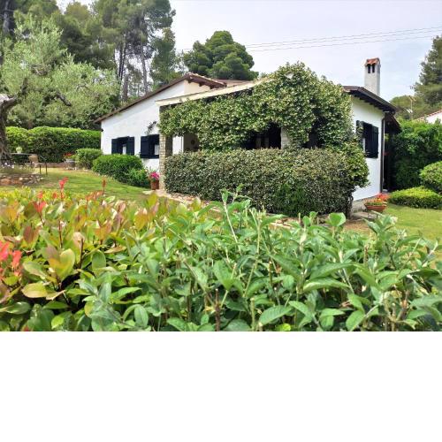 Villa Pigadi Nikiti beach vacation