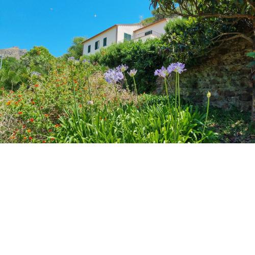 Villa Podere I Cavalieri