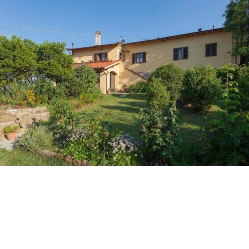 Villa Porcigliano Olive Grove
