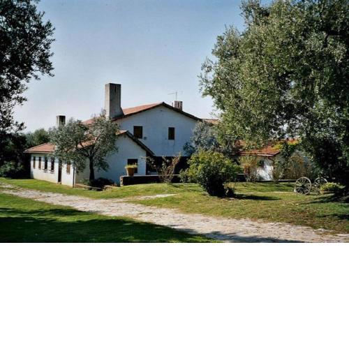 VILLA PRATO AMATO