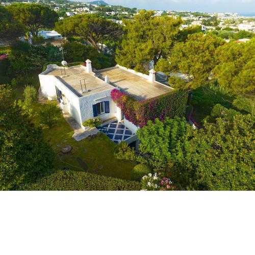 Villa Pretner by BarbarHouse
