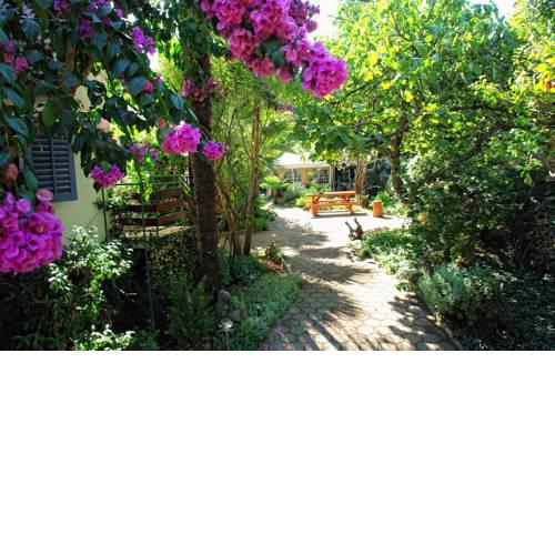 Villa Regina island Cres, 70m from the sea