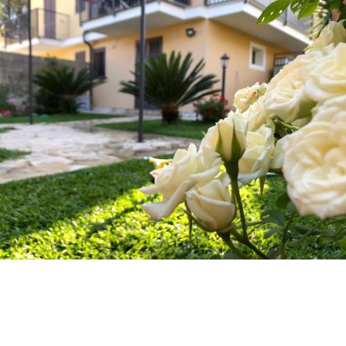 Villa Relax
