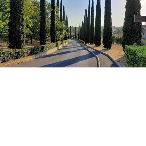 Villa Residence Golf Marco Simone, alloggio turistico