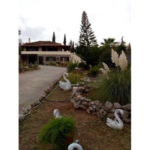 Villa Rita - Porto Heli