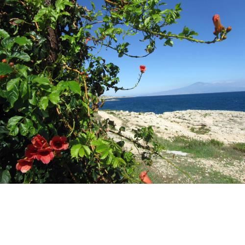 Villa Sicily Sul Mare Tra Catania e Siracusa