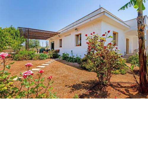 Villa Sole by BarbarHouse