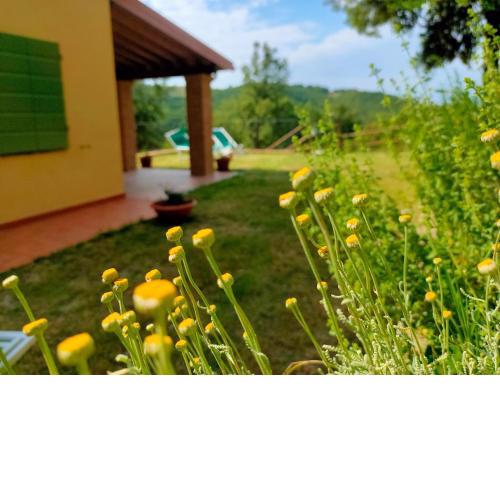 Villa sulle Colline Toscane con Piscina