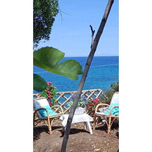 Villa Teresa sul mare
