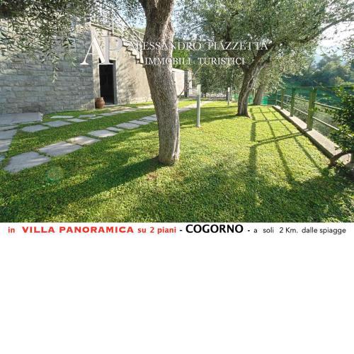 Villa tra gli ulivi - bellissima vista panoramica