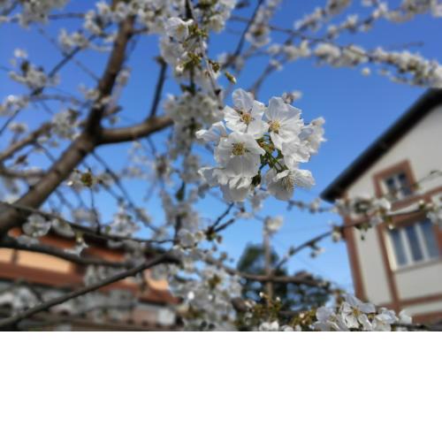 Villa tra i laghi