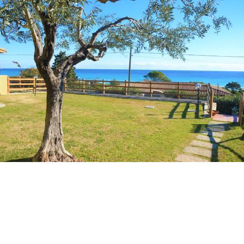 Villa Ulivo 50 mt dal mare