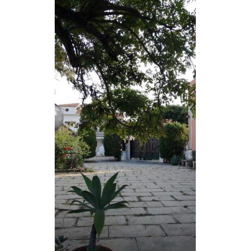 Villa Vanna