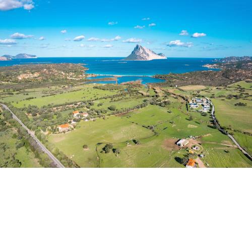 Villa Victoria 1.5 Km From The Beach - Happy Rentals