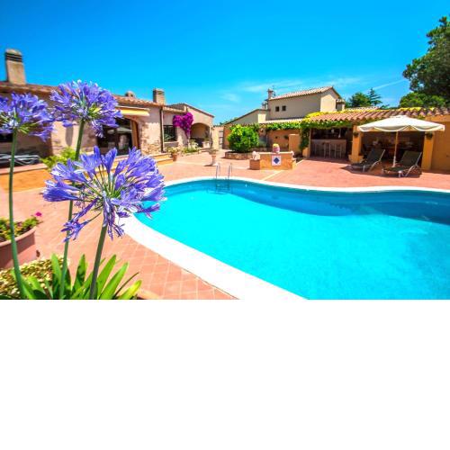 Villa Violeta