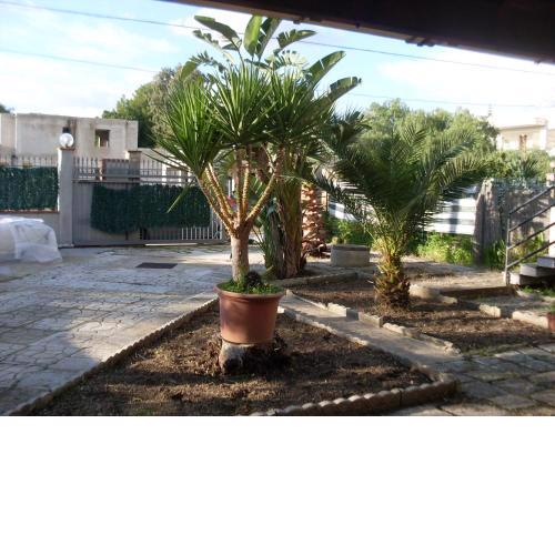 Villa vista mare