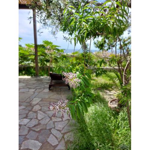 villa vista mare