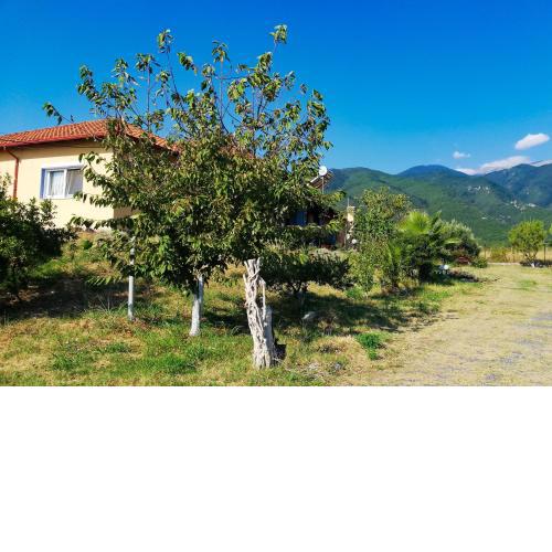 Villa Zerva
